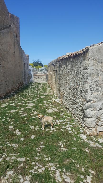 Pensjonat Vecchio Baglio Cofano Custonaci Zewnętrze zdjęcie